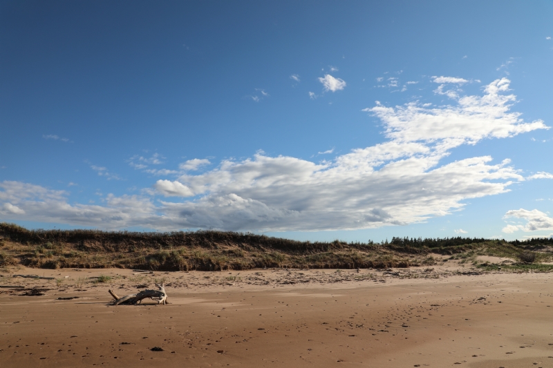 michael-weidner-zXDPxjH4P-U-unsplashfacb.jpg 方案配图,色彩意境,蓝色,