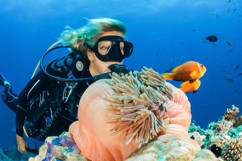 sebastian-pena-lambarri-ld4VubWXTuI-unsplashc184.jpg 方案配图,色彩意境,蓝色,