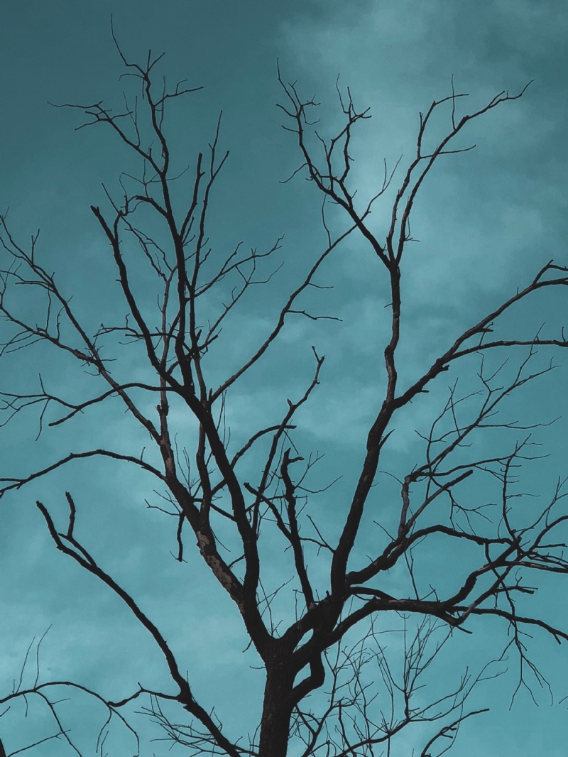 serhiy-vynychuk-bRf49SLnd-s-unsplash1b68.jpg 方案配图,色彩意境,蓝色,