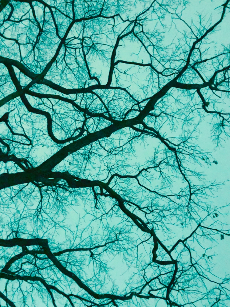 serhiy-vynychuk-VoYBDDFk_vw-unsplash7732.jpg 方案配图,色彩意境,蓝色,