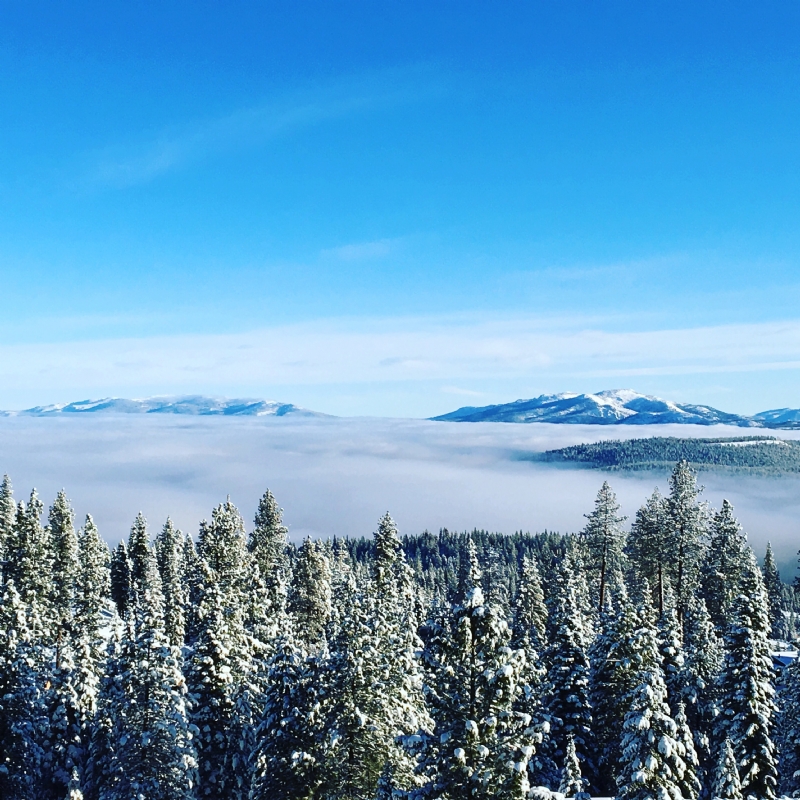 stephanie-liverani-Rjx-kDEsY1Y-unsplashea96.jpg 方案配图,色彩意境,蓝色,