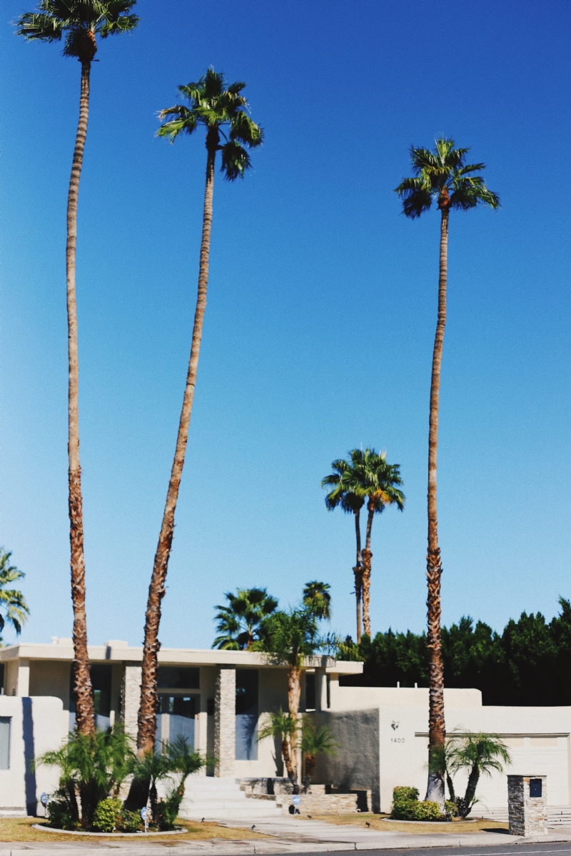 taylor-simpson--AJM-Ofe-uI-unsplashd359.jpg 方案配图,色彩意境,蓝色,