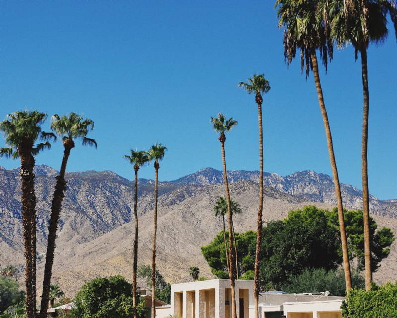 taylor-simpson-g7MEFnkI5RQ-unsplash15d4.jpg 方案配图,色彩意境,蓝色,