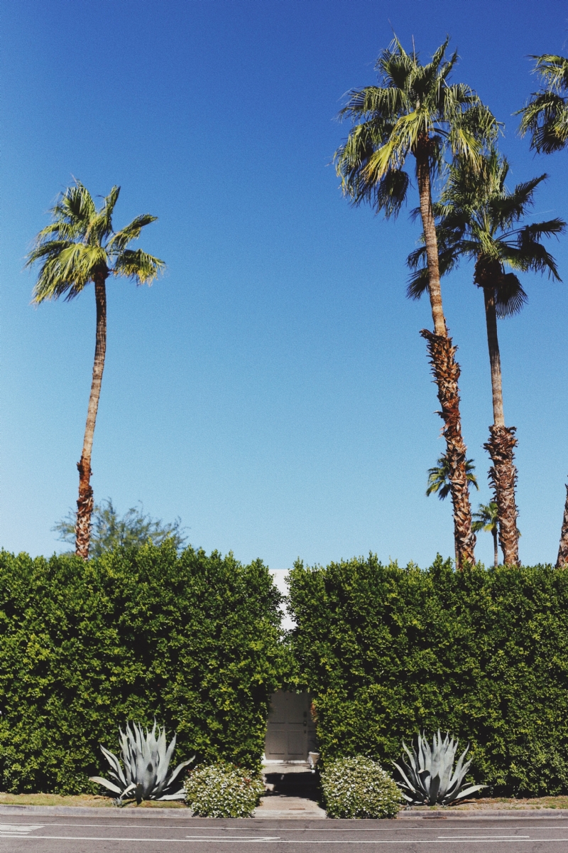 taylor-simpson-rJYufJOrBPE-unsplash1761.jpg 方案配图,色彩意境,蓝色,