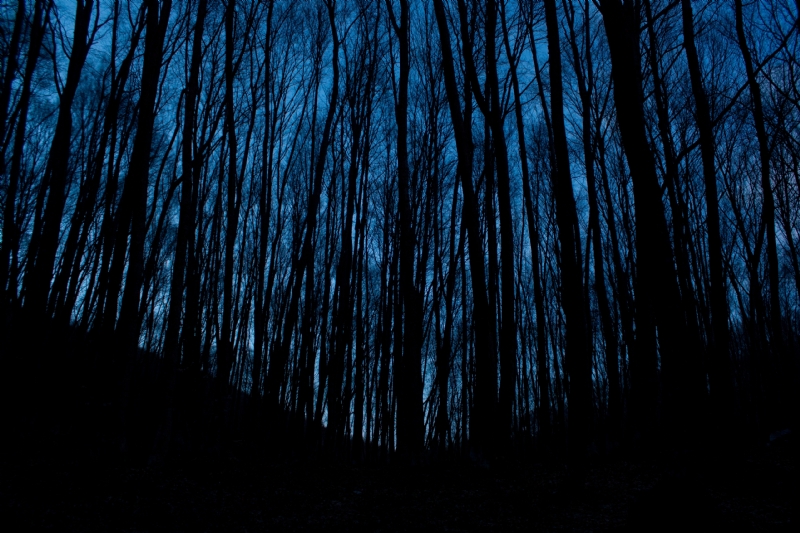 vladimir-agafonkin-dU5KI3Iap2g-unsplash29b3.jpg 方案配图,色彩意境,蓝色,