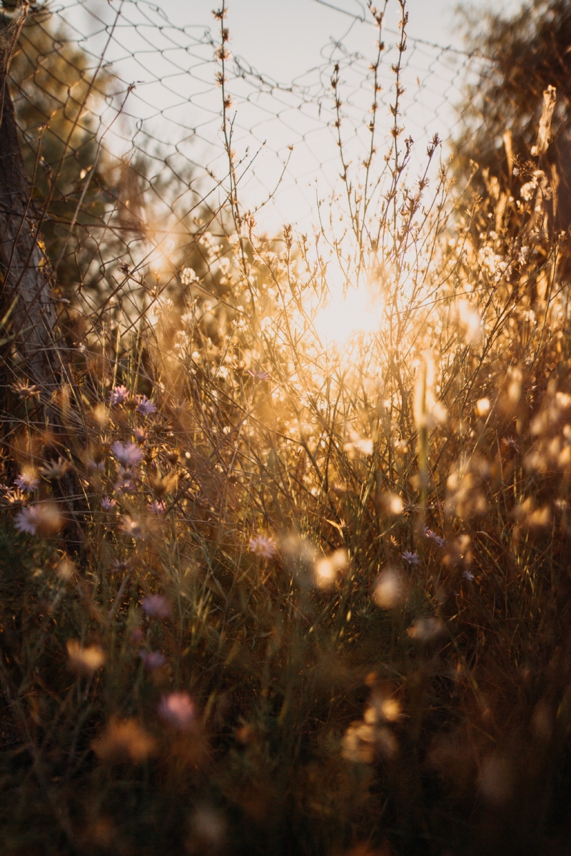 anton-darius-thesollers-LyC53UyAYVM-unsplash3aa9.jpg 方案配图,色彩意境,黄色,
