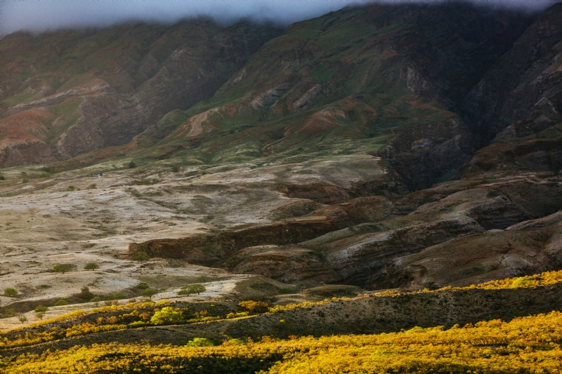 anton-repponen-Ba1LPtkbj78-unsplash8181.jpg 方案配图,色彩意境,黄色,