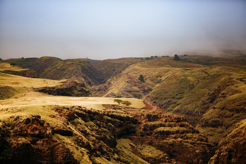 anton-repponen-plXnWnMQscI-unsplash2229.jpg 方案配图,色彩意境,黄色,