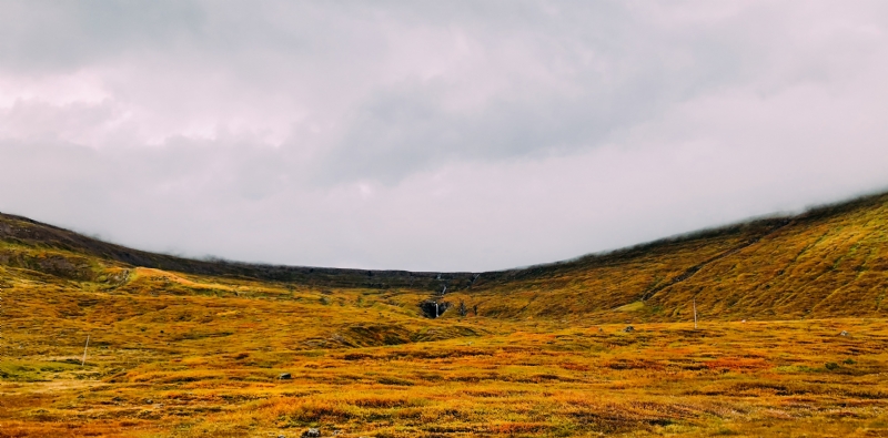 chris-liverani-N0DHcQcVOpo-unsplash3eb0.jpg 方案配图,色彩意境,黄色,