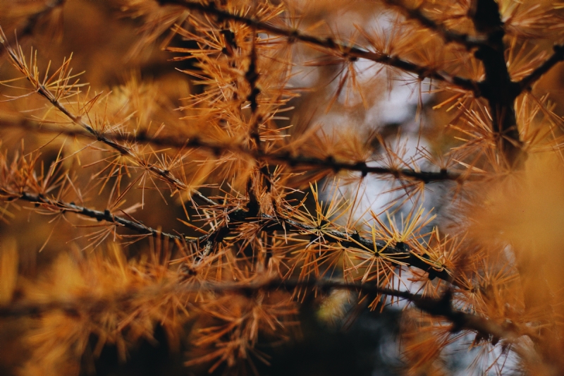 jakub-sejkora-fa2Yf8x8_3c-unsplash4ede.jpg 方案配图,色彩意境,黄色,