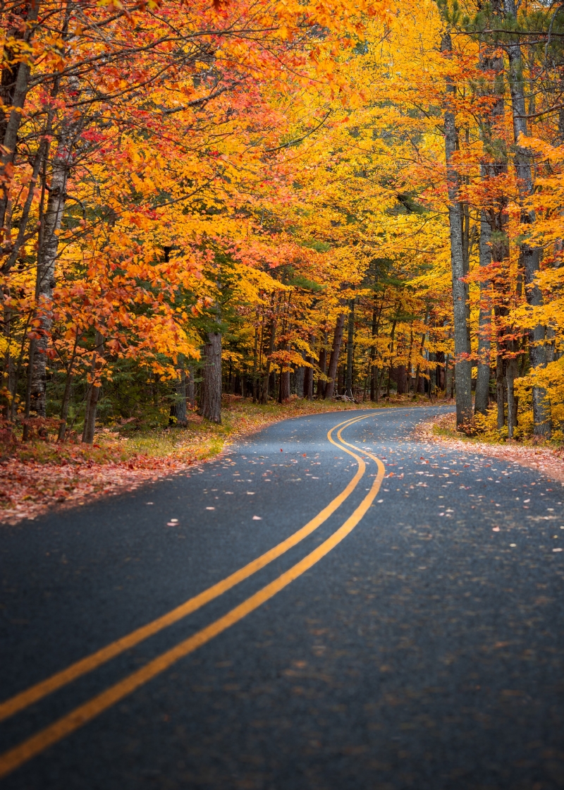 john-westrock-A4-rTknw23A-unsplash499b.jpg 方案配图,色彩意境,黄色,