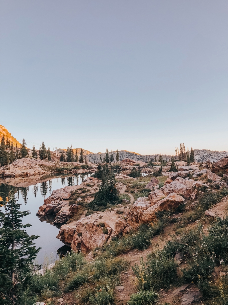 abigail-mangum-mLF5DUMzA90-unsplashcf9c.jpg 方案配图,色彩意境,褐色,