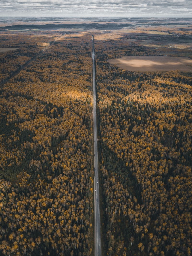 alexandr-bormotin-t4dZLGio8WA-unsplashfff6.jpg 方案配图,色彩意境,褐色,