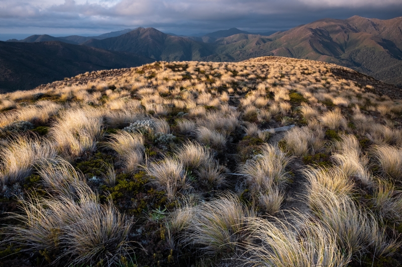 alex-green-ln2gvSx77Ts-unsplash2c51.jpg 方案配图,色彩意境,褐色,