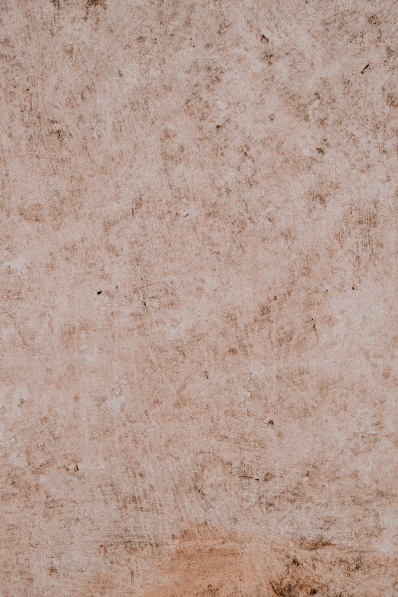 annie-spratt-SsuEU0X1kAk-unsplash59dc.jpg 方案配图,色彩意境,褐色,
