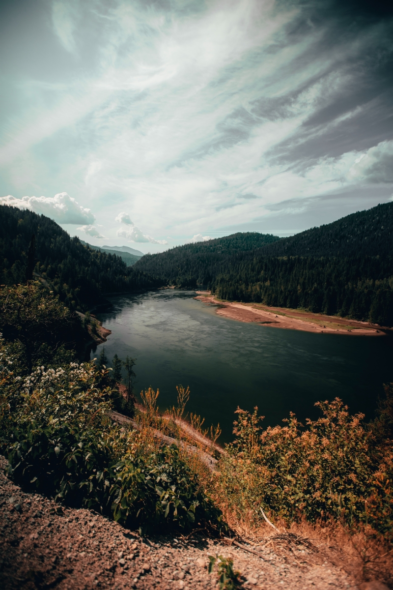 bence-horvai-aQzYCbxSl88-unsplash89de.jpg 方案配图,色彩意境,褐色,