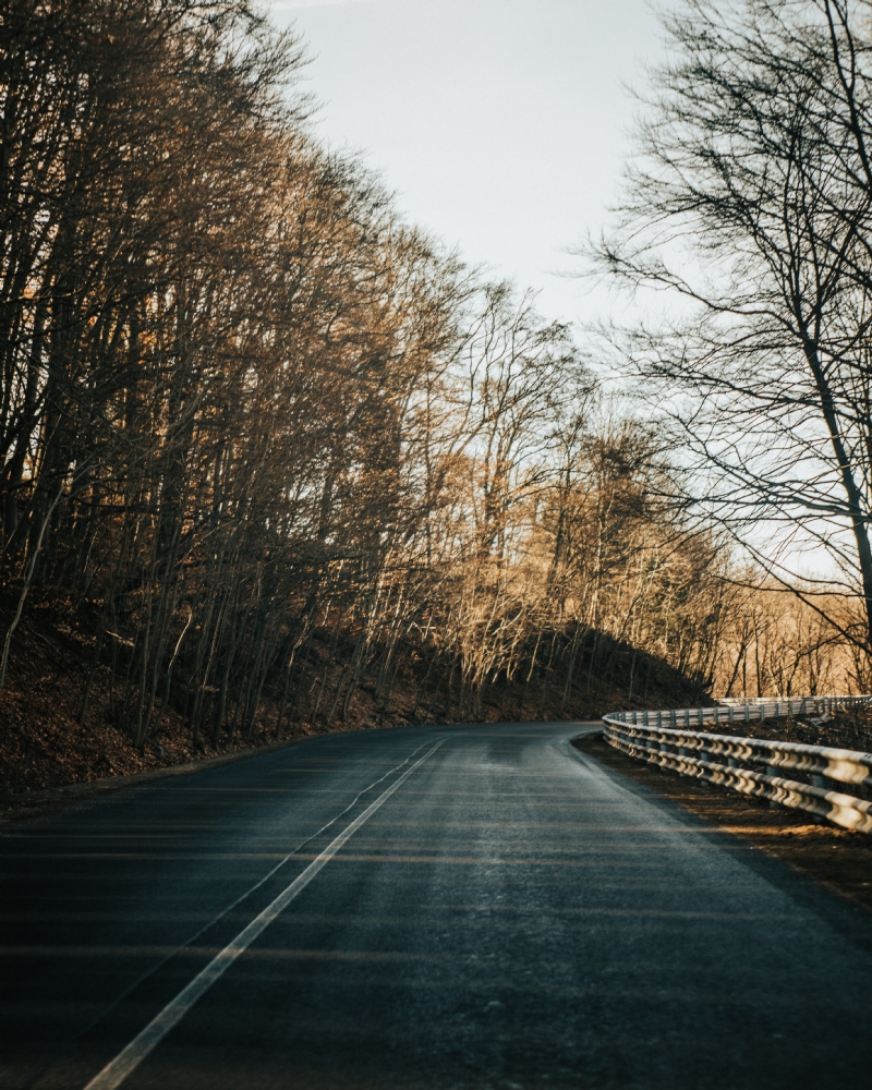 bence-horvai-xuEa6zeDYKY-unsplash5903.jpg 方案配图,色彩意境,褐色,