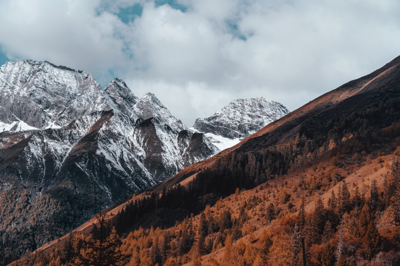 cheng-feng-GsWJXGxbMAY-unsplash0b5f.jpg 方案配图,色彩意境,褐色,