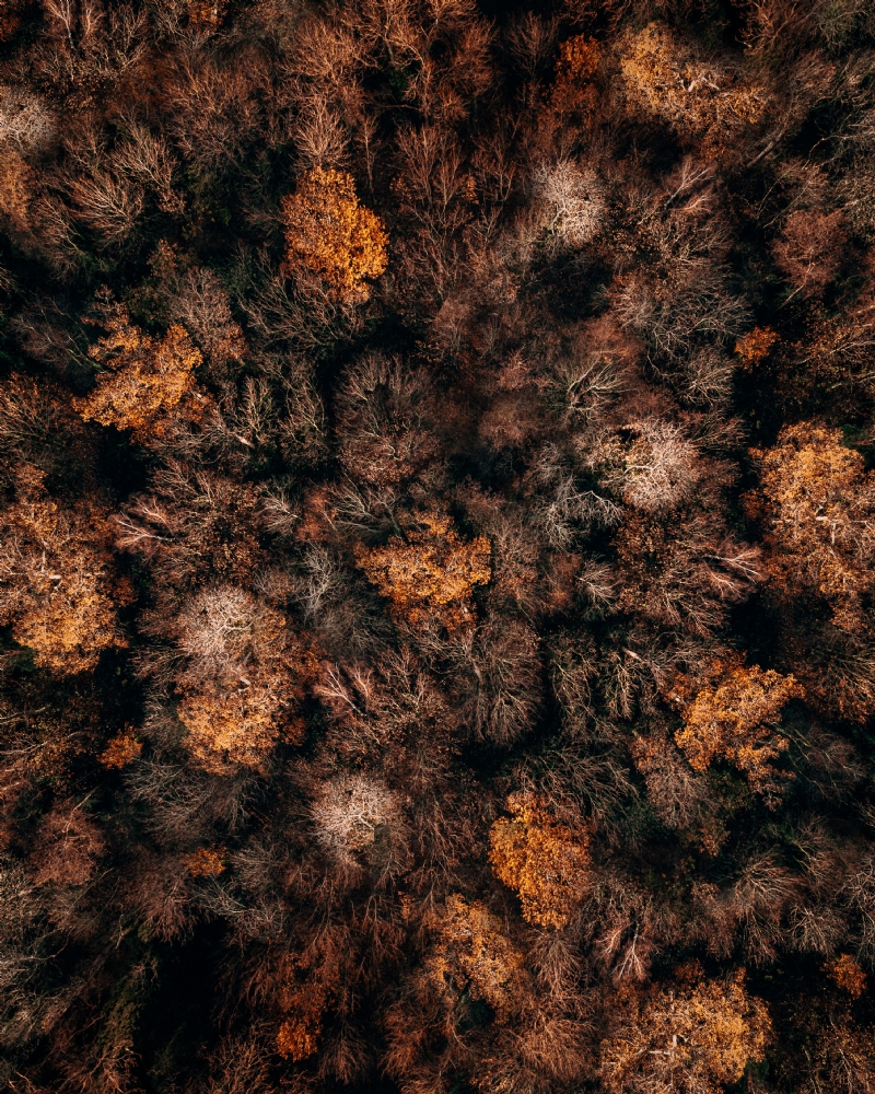 christopher-rusev-EAXr0o1kZ5w-unsplash6e51.jpg 方案配图,色彩意境,褐色,