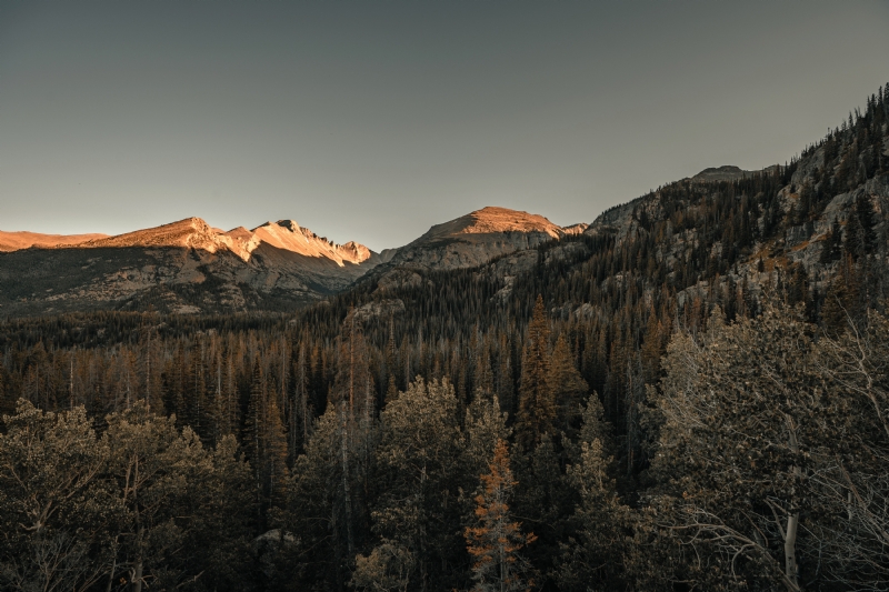 clay-banks-EBW1p0vGqDc-unsplash1b40.jpg 方案配图,色彩意境,褐色,