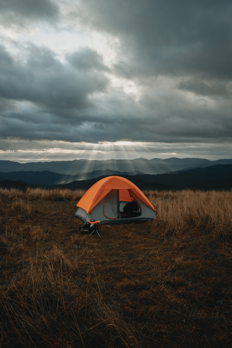 clay-banks-Ppz6b-YUDHw-unsplash10fb.jpg 方案配图,色彩意境,褐色,