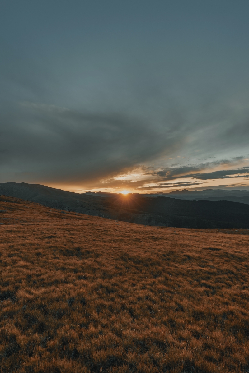 clay-banks-TjtoQ3-lSdo-unsplash5bdc.jpg 方案配图,色彩意境,褐色,