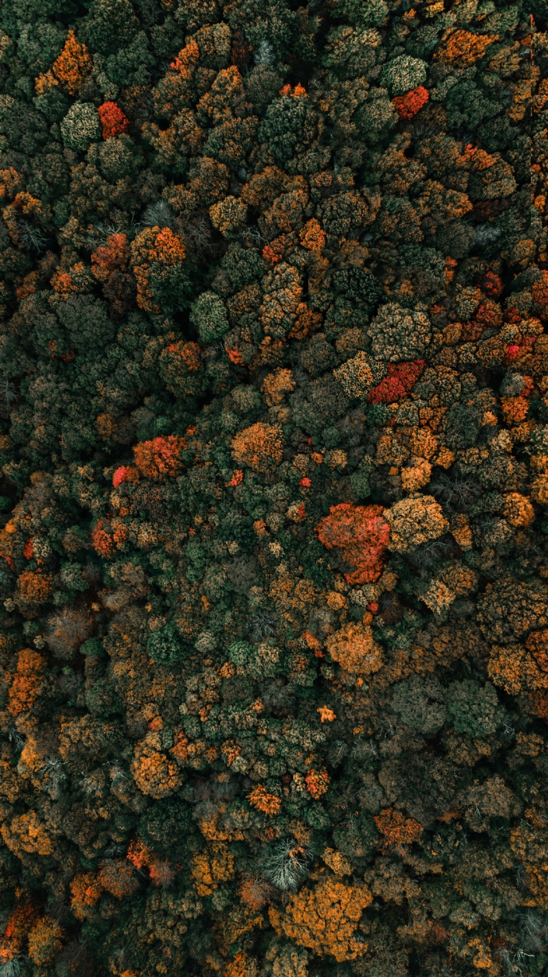 clay-banks-tRXPl_FCK9c-unsplash7b07.jpg 方案配图,色彩意境,褐色,