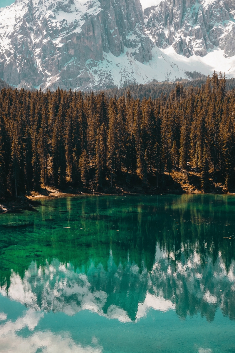 cristina-gottardi-ljTjUDYzPmY-unsplash40d2.jpg 方案配图,色彩意境,褐色,