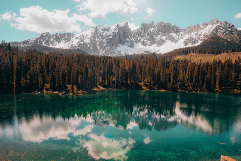 cristina-gottardi-R4y_E5ZQDPg-unsplash3483.jpg 方案配图,色彩意境,褐色,