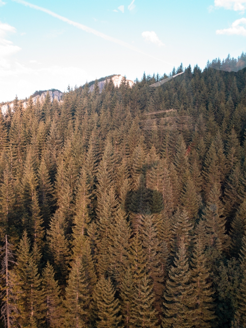 david-kaloczi-yfQcc_n4fCo-unsplash2c2a.jpg 方案配图,色彩意境,褐色,