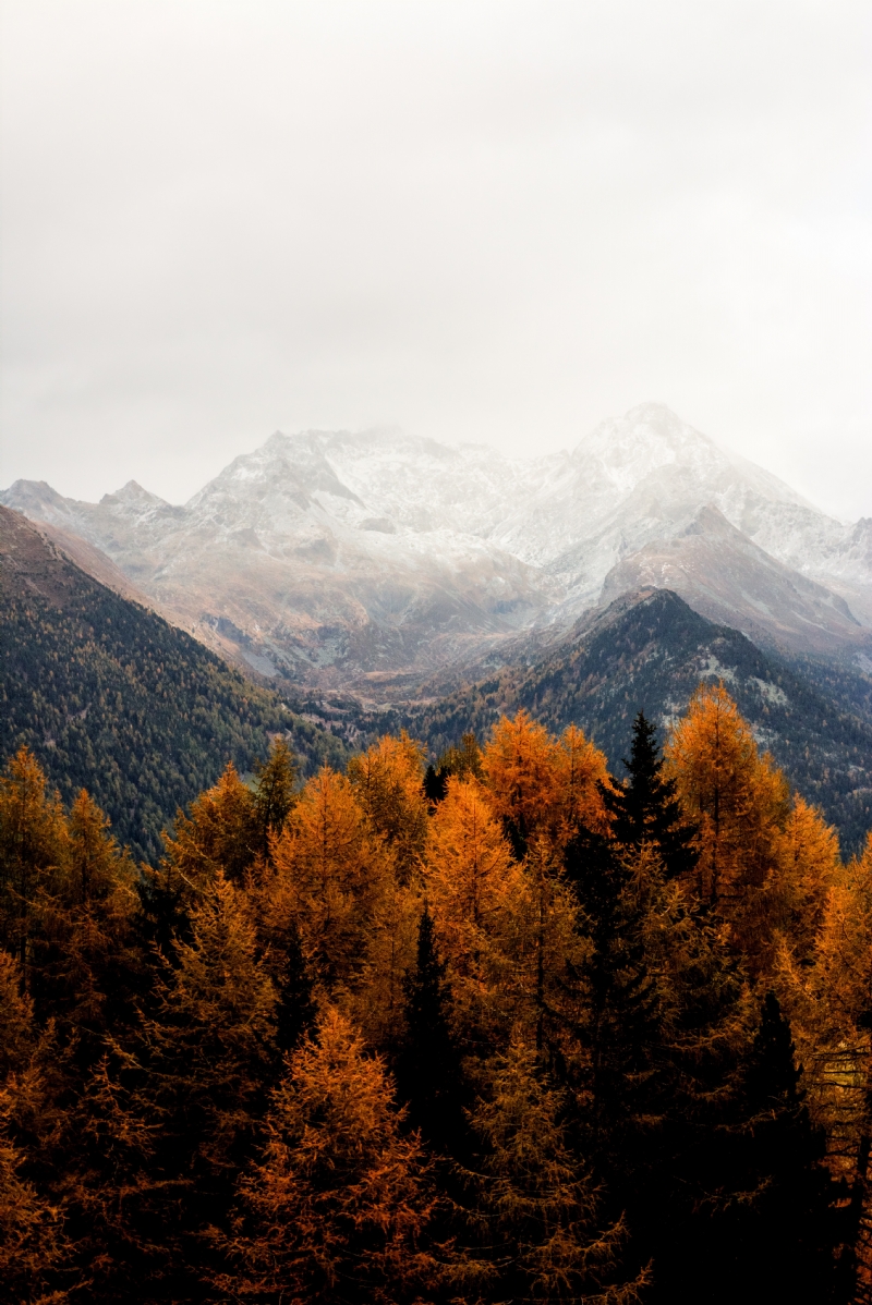 eberhard-grossgasteiger-5P91SF0zNsI-unsplash097e.jpg 方案配图,色彩意境,褐色,