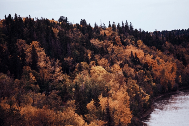 ezra-jeffrey-comeau-a-xLhxNzixQ-unsplash8f5d.jpg 方案配图,色彩意境,褐色,