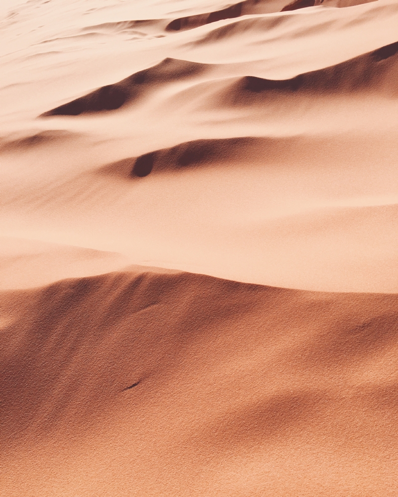 heather-shevlin-3B_NrzTjajc-unsplash84c8.jpg 方案配图,色彩意境,褐色,
