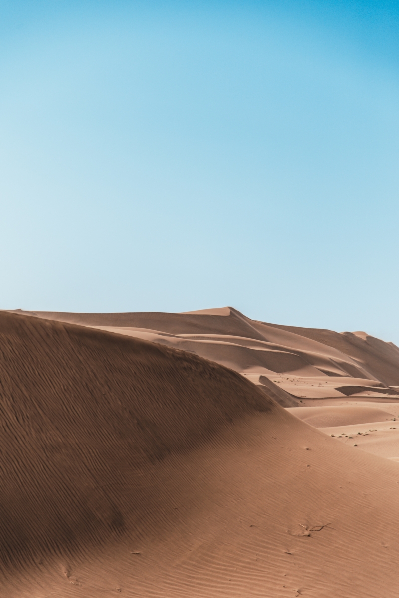 hiva-sharifi-uYWU_y81yOk-unsplash080a.jpg 方案配图,色彩意境,褐色,