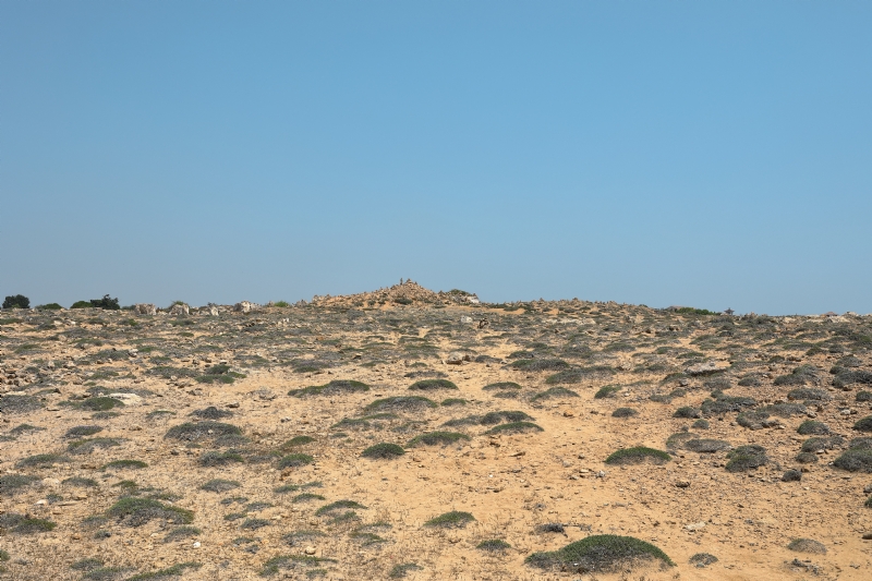 maksim-shutov-ASqxewGDRWU-unsplash04a5.jpg 方案配图,色彩意境,褐色,