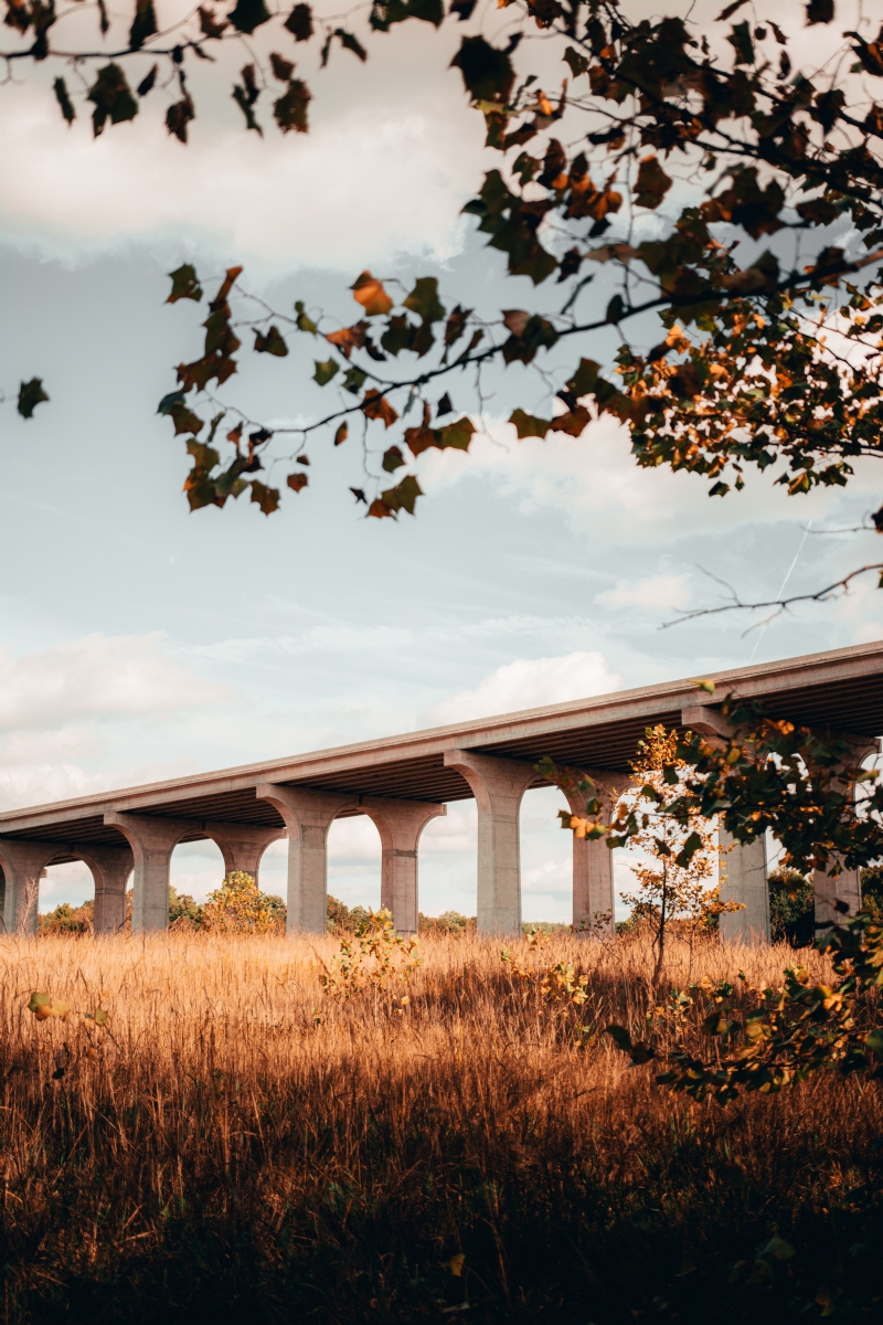 max-andrey-DjKLFRWvogI-unsplash87a6.jpg 方案配图,色彩意境,褐色,