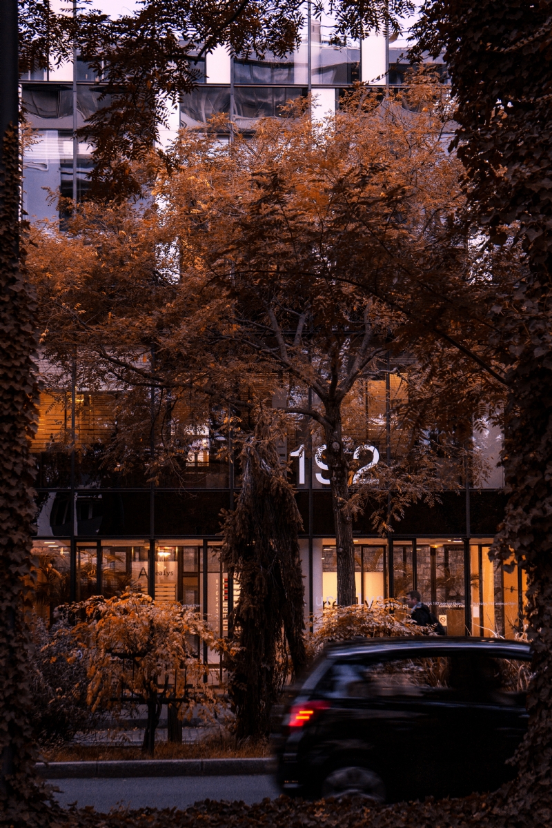 nathan-j-8uEzqeQJ5dI-unsplash1921.jpg 方案配图,色彩意境,褐色,