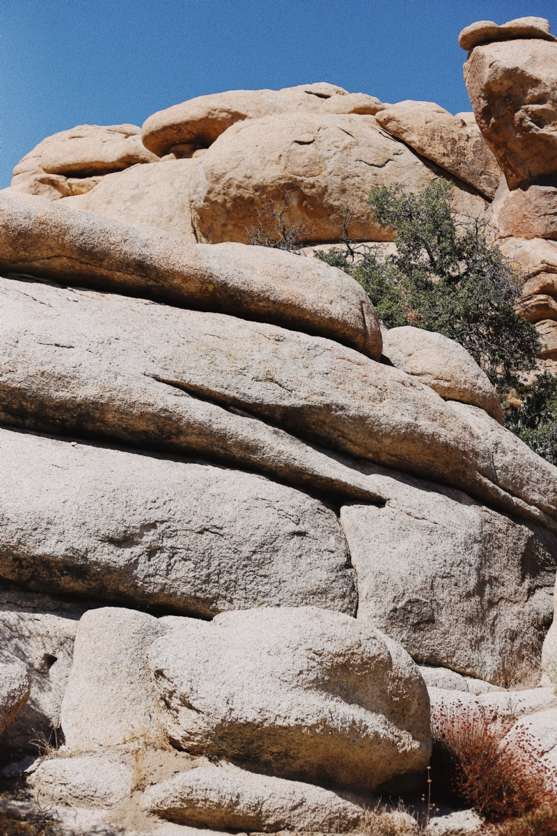 taylor-simpson--dkcPBhto7k-unsplash50d7.jpg 方案配图,色彩意境,褐色,