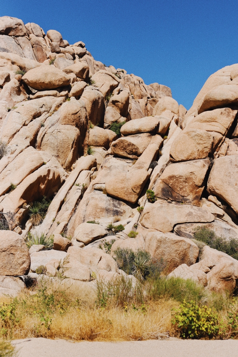 taylor-simpson-hdycVGW2XBk-unsplash705f.jpg 方案配图,色彩意境,褐色,