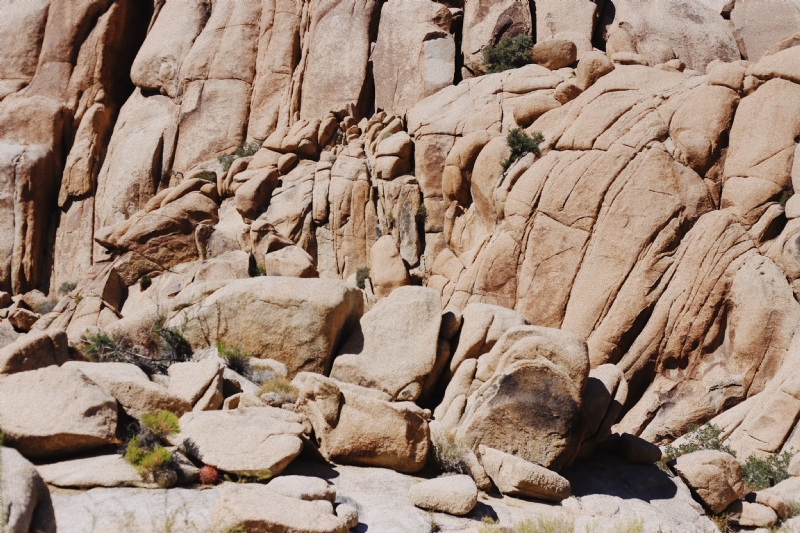taylor-simpson-iU1LjU9OGxA-unsplash342e.jpg 方案配图,色彩意境,褐色,