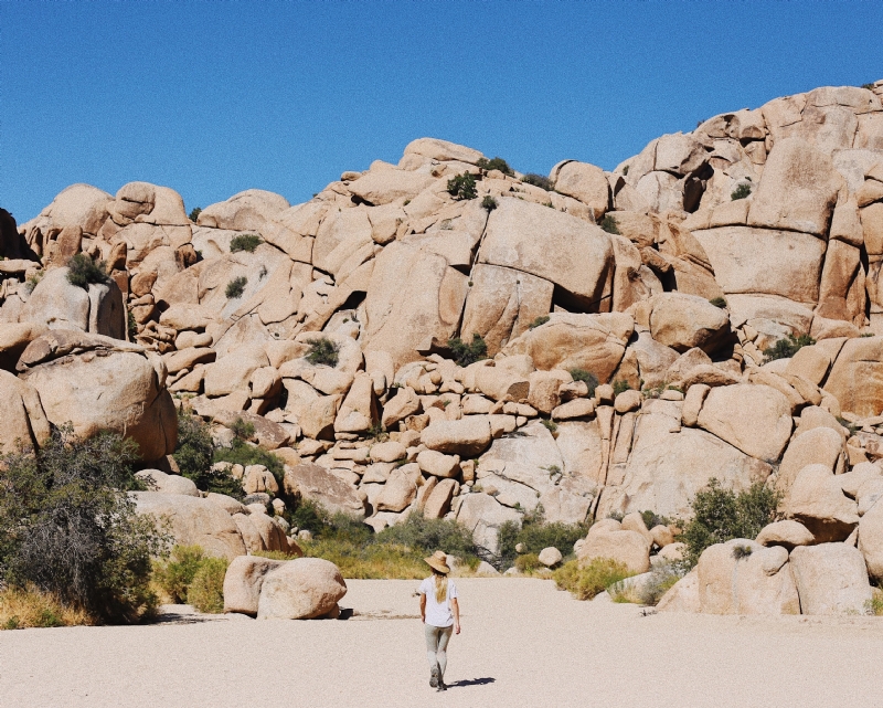 taylor-simpson-xpnGM0Yy8LY-unsplash312d.jpg 方案配图,色彩意境,褐色,