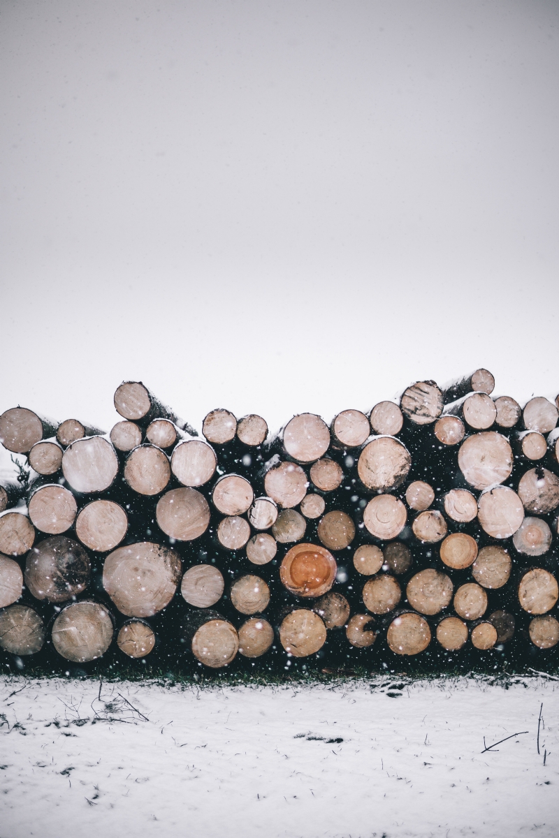 benjamin-raffetseder-rwMR81OlFBo-unsplash1c4d.jpg 方案配图,色彩意境,白色,