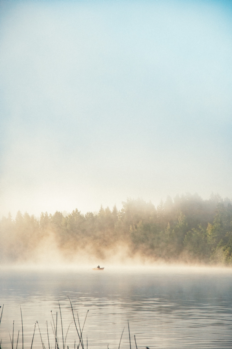 chandana-ban-PYtL1w4c5Ts-unsplash3d44.jpg 方案配图,色彩意境,白色,