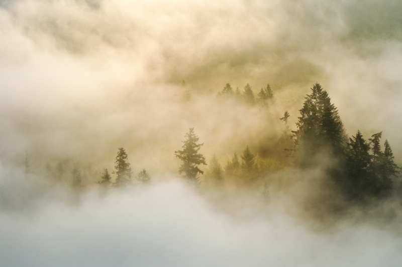 eric-jacob-G0miZ5OYaXI-unsplash4ff8.jpg 方案配图,色彩意境,白色,