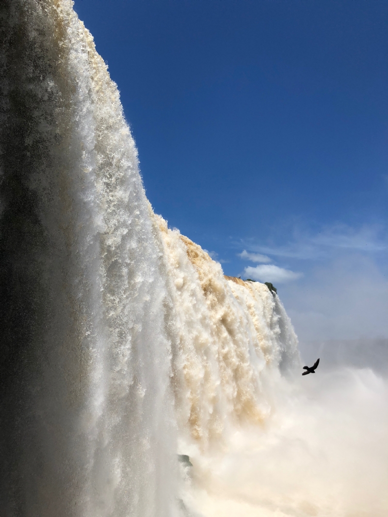 ricardo-frantz-IMryqqcltfk-unsplash5613.jpg 方案配图,色彩意境,白色,