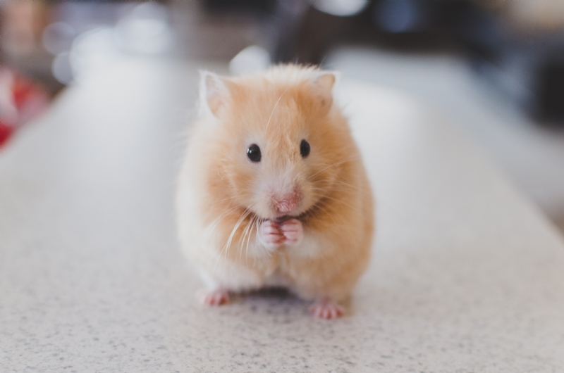 ricky-kharawala-adK3Vu70DEQ-unsplash1ddd.jpg 方案配图,色彩意境,白色,