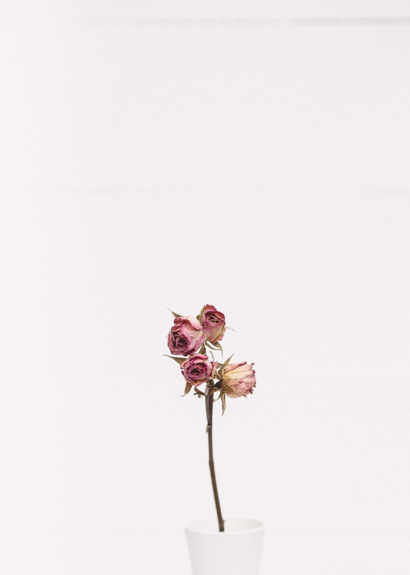 tanalee-youngblood-fsdWYNTymjI-unsplash04ab.jpg 方案配图,色彩意境,白色,