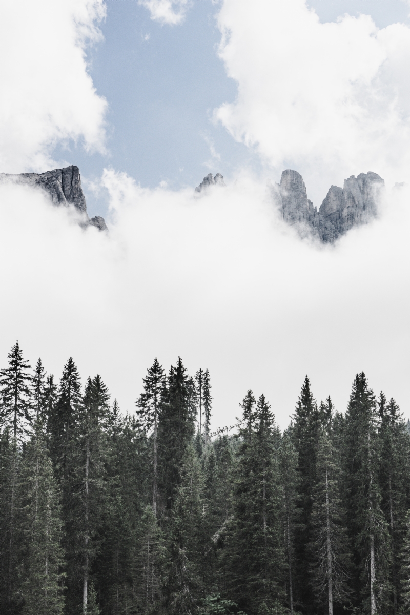 theverticalstory-i3LOJNME-7w-unsplash3da6.jpg 方案配图,色彩意境,白色,
