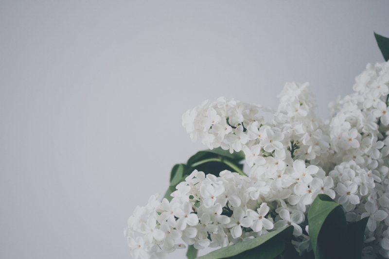 veri-ivanova-whOkVvf0_hU-unsplash58cd.jpg 方案配图,色彩意境,白色,