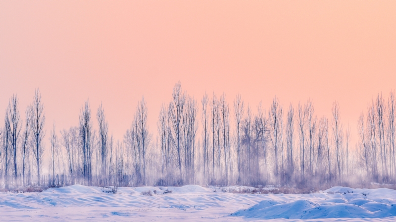 yang-shuo-uYHYGgvkz_Y-unsplash22fb.jpg 方案配图,色彩意境,白色,